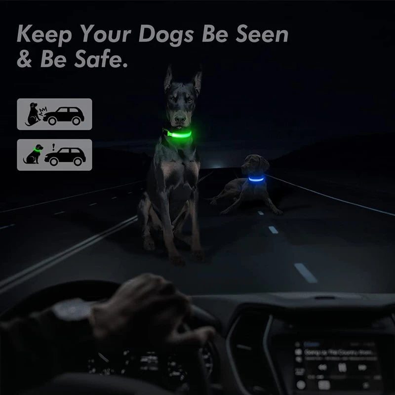 USB Rechargeable LED Dog Collar – High-Visibility & Waterproof for Night Walks💡