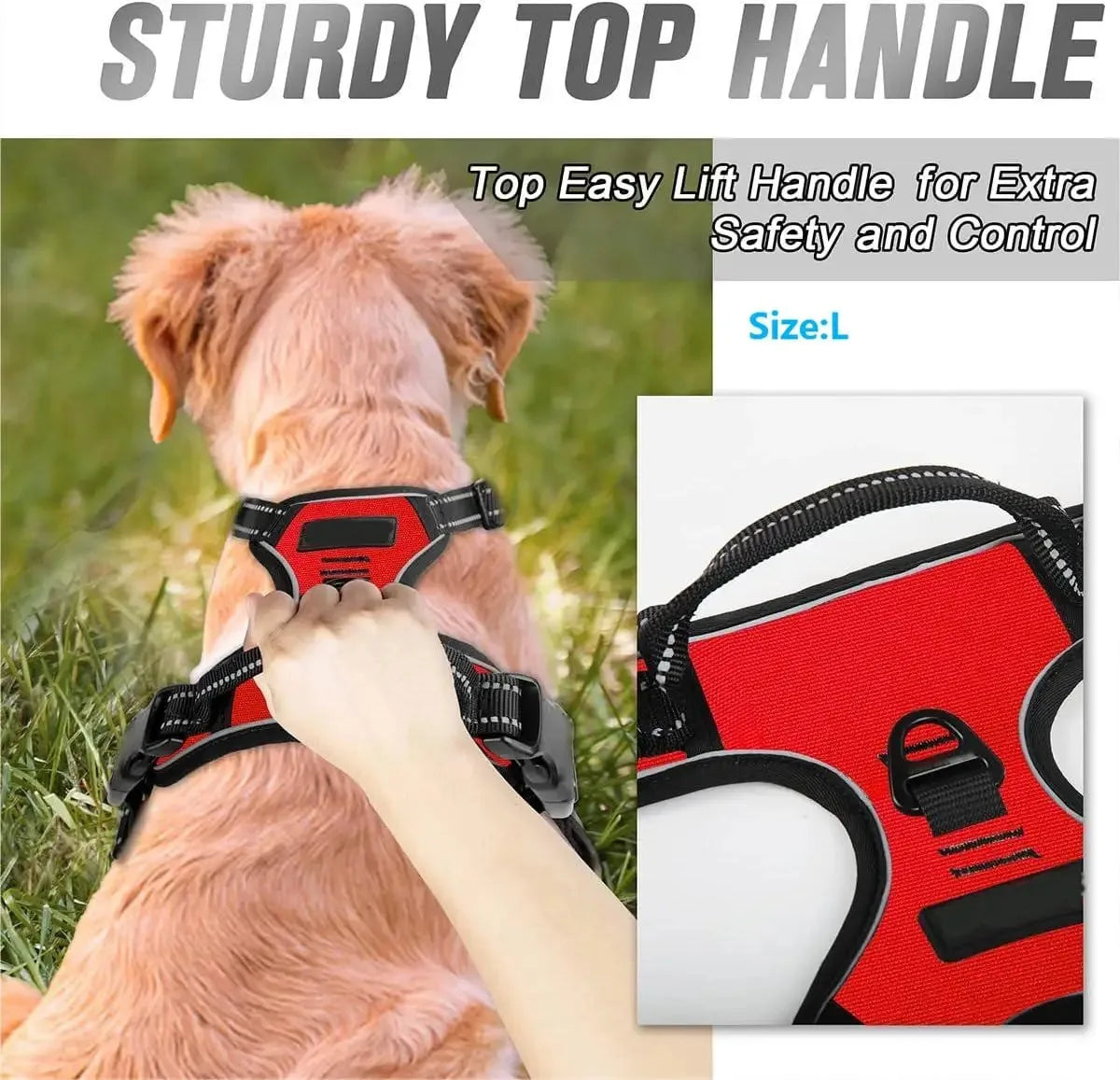 Adjustable Breathable Puppy Harness – Safe, Lightweight & Stylish for Small Dogs🐾