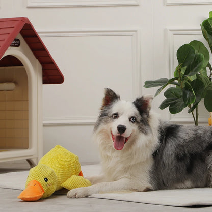 Plush Squeaky Dog Toy – Soft, Durable &amp; Interactive Chew Toy for Dogs🐶🎾