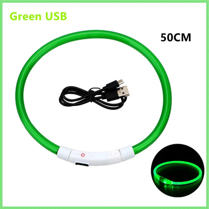 USB Rechargeable LED Dog Collar – High-Visibility &amp; Waterproof for Night Walks💡