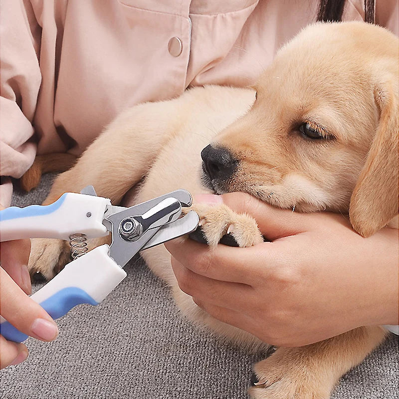 Dog Nail Clippers – Professional Pet Grooming Tool for Safe &amp; Precise Trimming✂️🐾