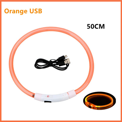 USB Rechargeable LED Dog Collar – High-Visibility &amp; Waterproof for Night Walks💡
