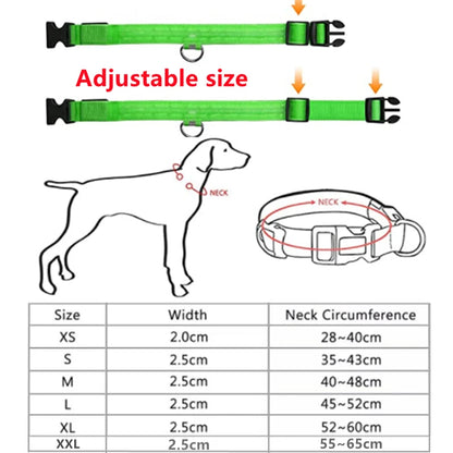 USB Rechargeable LED Dog Collar – High-Visibility &amp; Waterproof for Night Walks💡