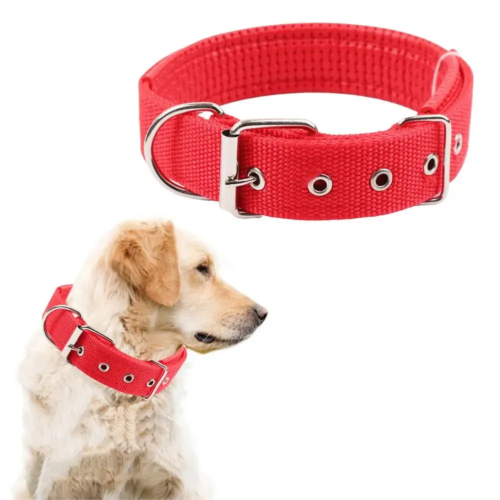 🐶 Adjustable Nylon Dog Collar – Durable, Comfortable &amp; Secure 🦴