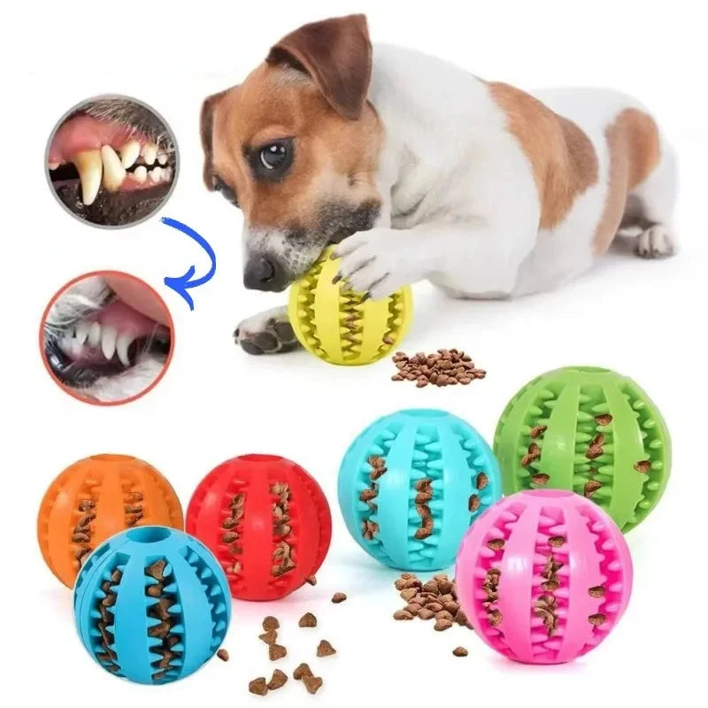 Interactive Dog Ball – Treat Dispenser &amp; Chew Toy for Small Dogs &amp; Puppies 🐶🎾