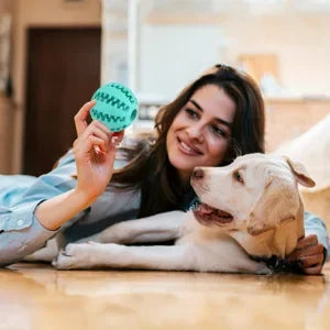 Interactive Dog Ball – Treat Dispenser &amp; Chew Toy for Small Dogs &amp; Puppies 🐶🎾