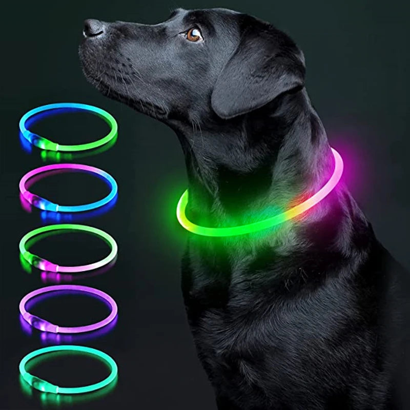USB Rechargeable LED Dog Collar – High-Visibility &amp; Waterproof for Night Walks💡