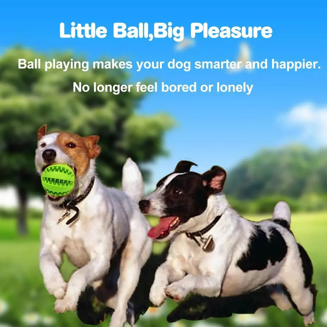 Interactive Dog Ball – Treat Dispenser &amp; Chew Toy for Small Dogs &amp; Puppies 🐶🎾