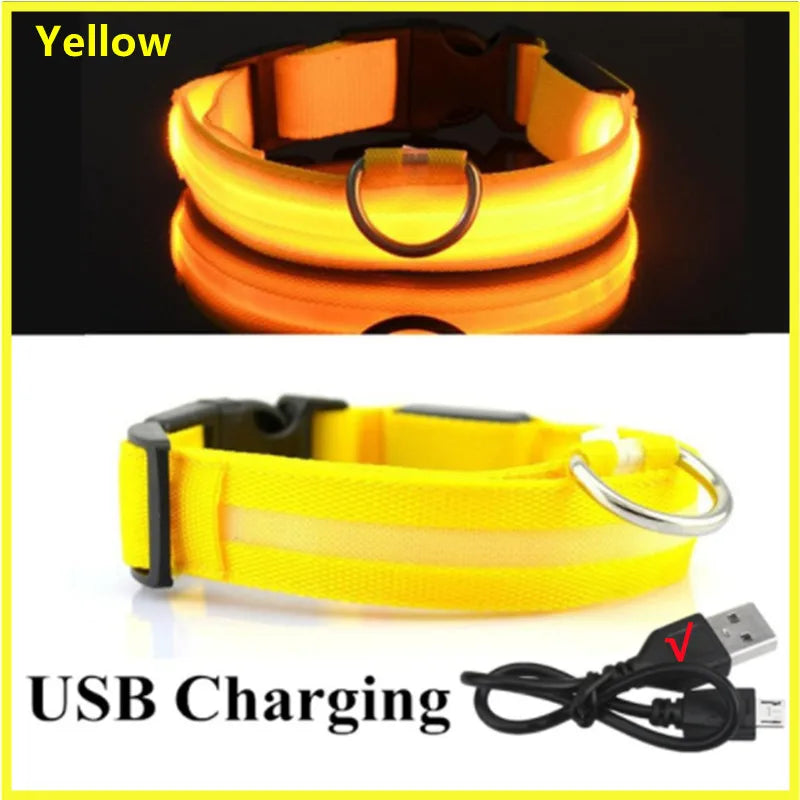USB Rechargeable LED Dog Collar – High-Visibility &amp; Waterproof for Night Walks💡