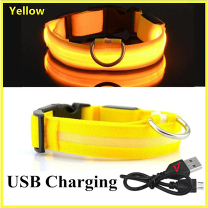 USB Rechargeable LED Dog Collar – High-Visibility &amp; Waterproof for Night Walks💡