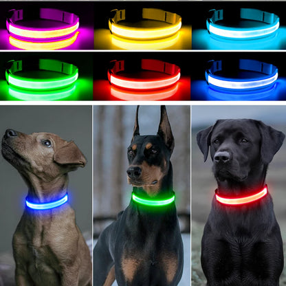 USB Rechargeable LED Dog Collar – High-Visibility &amp; Waterproof for Night Walks💡