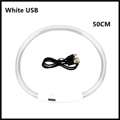 USB Rechargeable LED Dog Collar – High-Visibility &amp; Waterproof for Night Walks💡