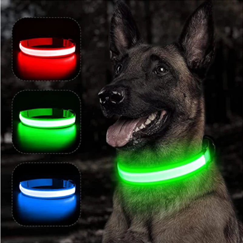 USB Rechargeable LED Dog Collar – High-Visibility &amp; Waterproof for Night Walks💡