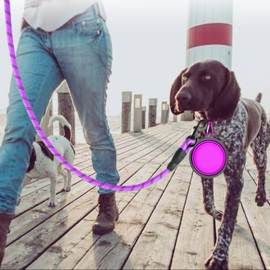 Heavy-Duty Reflective Dog Leash – No-Pull, Durable &amp; Comfortable for All Breeds🐾