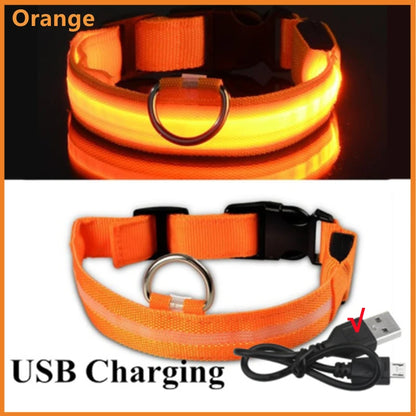 USB Rechargeable LED Dog Collar – High-Visibility &amp; Waterproof for Night Walks💡
