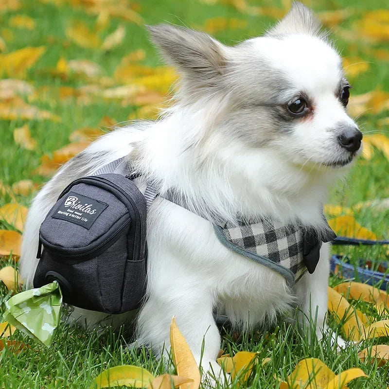 🐶 Dog Training Treat Pouch – Hands-Free, Waterproof &amp; Portable 🎒