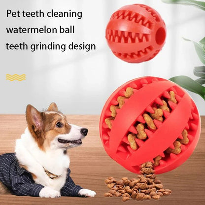 Interactive Dog Ball – Treat Dispenser &amp; Chew Toy for Small Dogs &amp; Puppies 🐶🎾