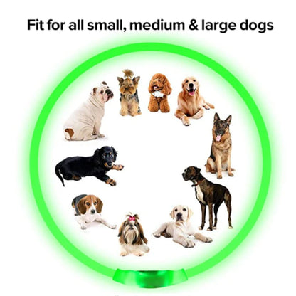 USB Rechargeable LED Dog Collar – High-Visibility &amp; Waterproof for Night Walks💡