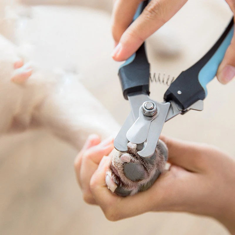 Dog Nail Clippers – Professional Pet Grooming Tool for Safe &amp; Precise Trimming✂️🐾