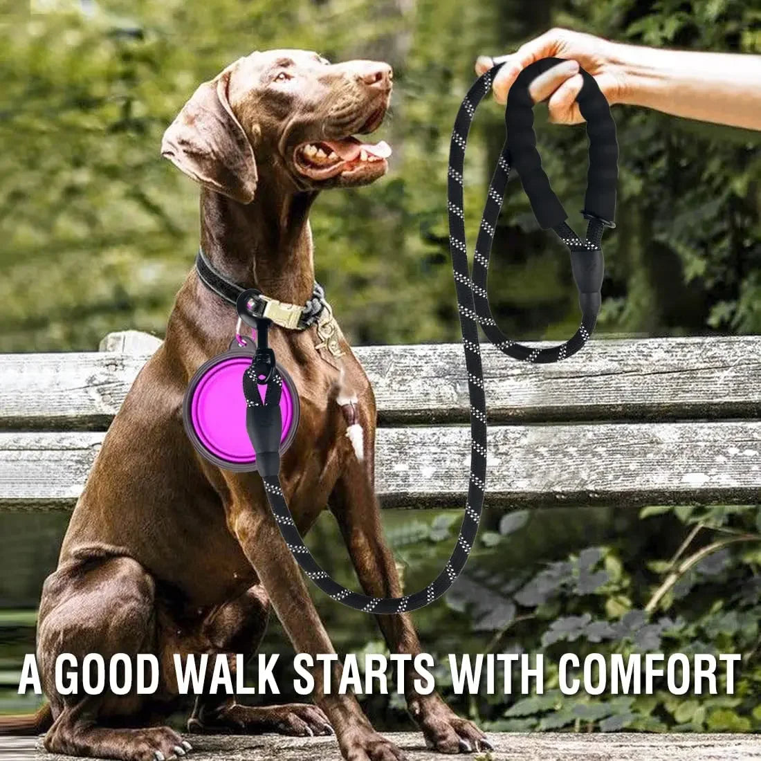Heavy-Duty Reflective Dog Leash – No-Pull, Durable &amp; Comfortable for All Breeds🐾